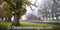 Gostwyck Chapel in Autumn Photo - Gary Bell