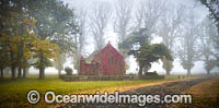Gostwyck Chapel in Autumn Photo - Gary Bell