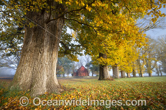 Gostwyck Chapel in Autumn photo Gostwyck Chapel in Autumn photo