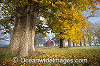 Gostwyck Chapel in Autumn Photo - Gary Bell