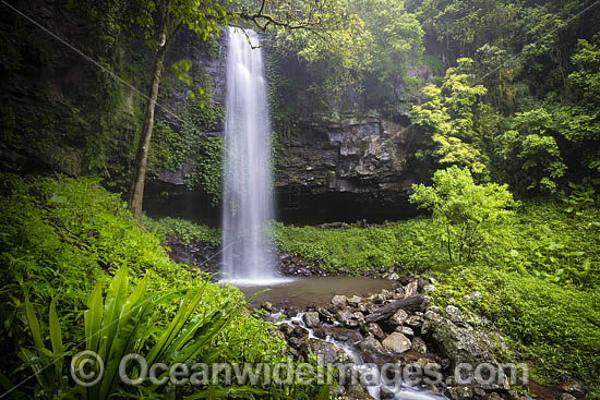 Crystal Shower Falls Dorrigo photo Crystal Shower Falls Dorrigo photo