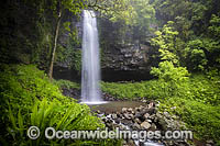 Crystal Shower Falls Dorrigo Photo - Gary Bell