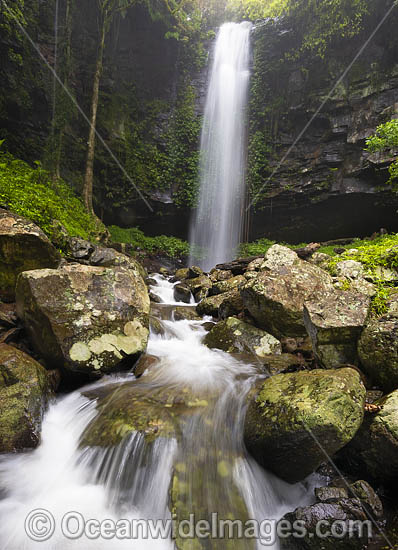 Crystal Shower Falls Dorrigo photo Crystal Shower Falls Dorrigo photo