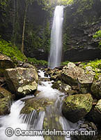 Crystal Shower Falls Dorrigo Photo - Gary Bell
