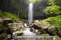 Crystal Shower Falls Dorrigo Photo - Gary Bell