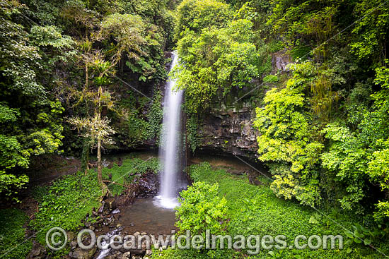 Crystal Shower Falls Dorrigo photo Crystal Shower Falls Dorrigo photo