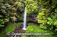 Crystal Shower Falls Dorrigo Photo - Gary Bell