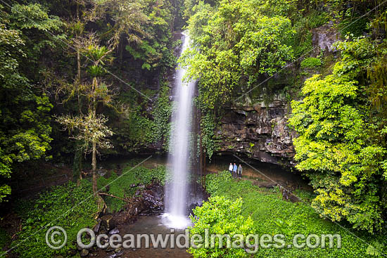 Crystal Shower Falls Dorrigo photo Crystal Shower Falls Dorrigo photo