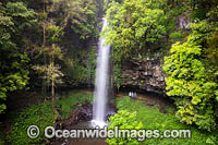 Crystal Shower Falls Dorrigo Photo - Gary Bell