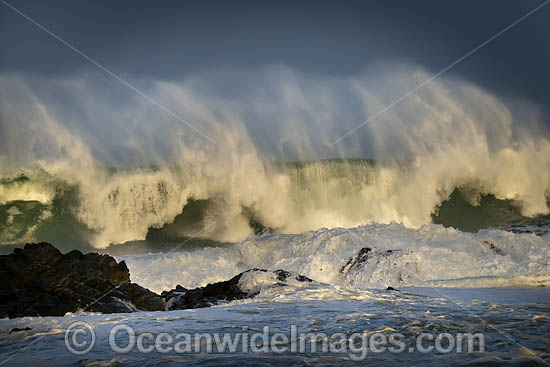 Coffs Harbour beach photo