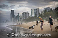 Surfers Paradise beach Photo - Gary Bell