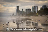 Surfers Paradise beach Photo - Gary Bell