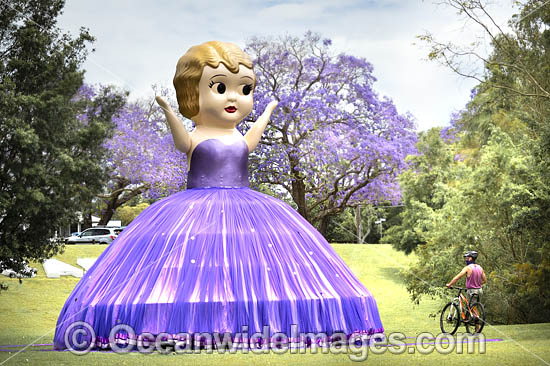 Jacaranda Festival Grafton photo Jacaranda Festival Grafton photo