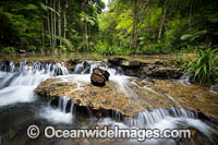 Bucca Creek NSW Photo - Gary Bell