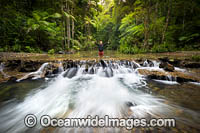 Bucca Creek NSW Photo - Gary Bell