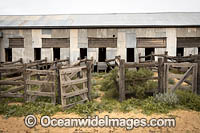 Kinchega Woolshed Photo - Gary Bell