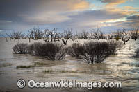 Lake Menindee Sunset Photo - Gary Bell