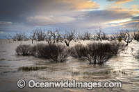 Lake Menindee Sunset Photo - Gary Bell