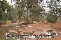 Black Hill Creek Photo - Gary Bell
