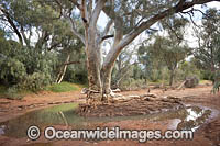 Black Hill Creek Photo - Gary Bell