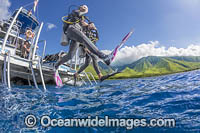 Divers stepping off boat Photo - David Fleetham