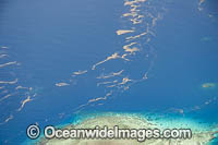 Volcano Tonga Photo - David Fleetham