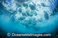 Surf crashing on reef Photo - David Fleetham