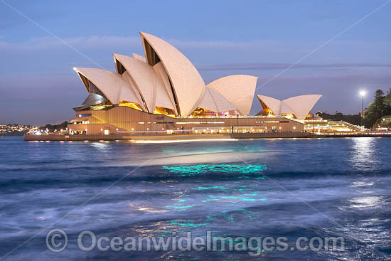 Sydney Opera House photo