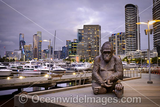 Melbourne Docklands photo Melbourne Docklands photo