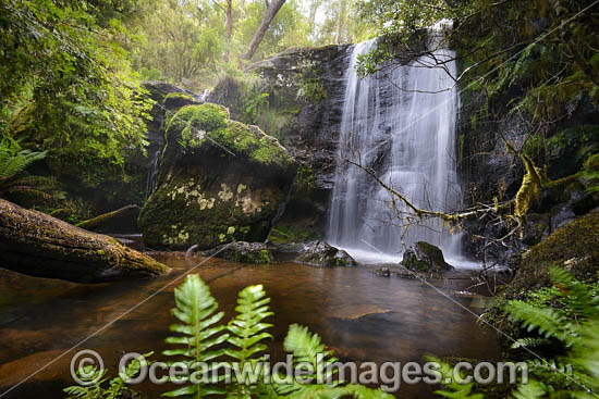 Tea Tree Falls photo Tea Tree Falls photo