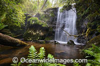 Tea Tree Falls Photo - Gary Bell