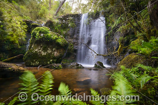 Tea Tree Falls photo Tea Tree Falls photo