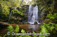 Tea Tree Falls Photo - Gary Bell