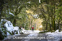 Cradle Mountain Photo - Gary Bell