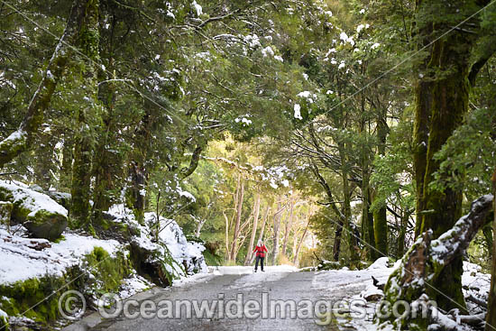 Cradle Mountain photo Cradle Mountain photo