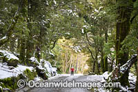 Cradle Mountain Photo - Gary Bell