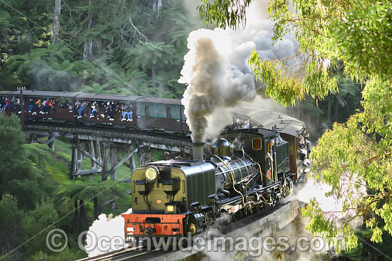 Puffing Billy photo Puffing Billy photo