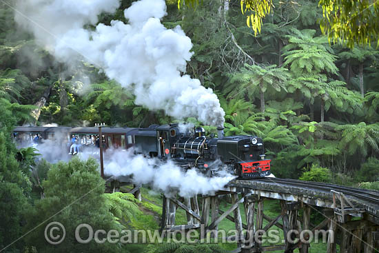 Puffing Billy photo Puffing Billy photo