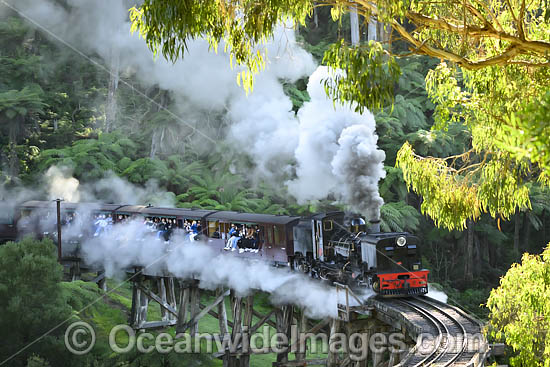 Puffing Billy photo Puffing Billy photo