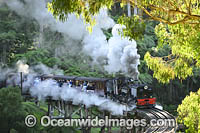 Puffing Billy Photo - Gary Bell
