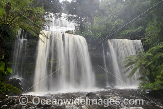 Russell Falls Tasmania photo