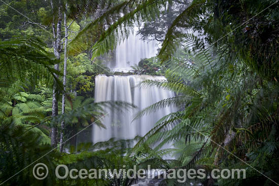 Russell Falls Tasmania photo