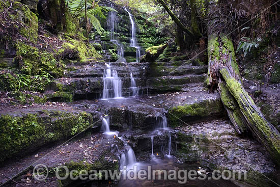 Myrtle Gully Falls Tasmania photo