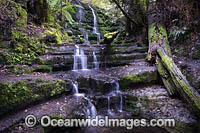 Myrtle Gully Falls Tasmania Photo - Gary Bell