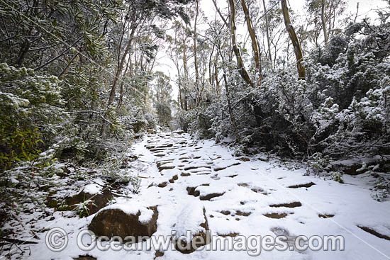 Zig Zag Track Tasmania photo