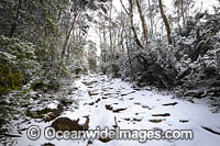 Zig Zag Track Tasmania Photo - Gary Bell