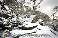 Zig Zag Track Tasmania Photo - Gary Bell