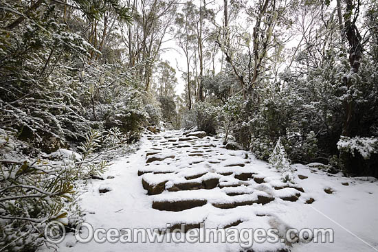 Zig Zag Track Tasmania photo