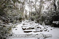 Zig Zag Track Tasmania Photo - Gary Bell