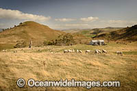 Farmland Tasmania Photo - Gary Bell